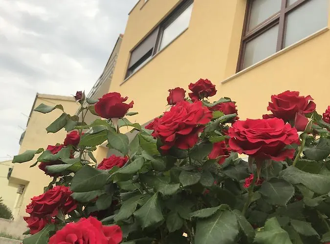 Apartman Mig